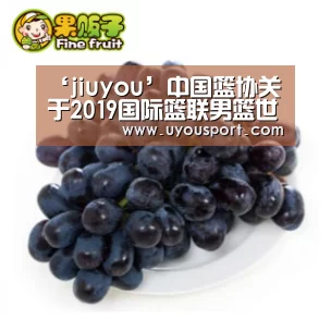 ‘jiuyou’中国篮协关于2019国际篮联男篮世界杯深圳预选赛媒体报名的函(图4) 九游娱乐官方网站