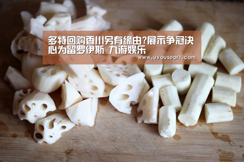 多特回购香川另有缘由?展示争冠决心为留罗伊斯_九游娱乐(图2) 九游娱乐